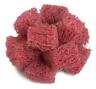 265024 Standard Abrasives Cross Buffs Diameter Very Fine Hp Grade Set
