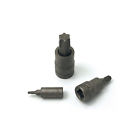 53001095681 9568 Supply Network Torx Socket