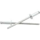 All18190 Allstar Performance Small Head Rivets 013032000825 All18190 Allstar Performance Small Head Rivets 013032000825