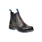 Btcst11 Blue Tongue Black 6 753182122441
