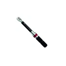 Chicago Pneumatic CP8905 - 1/4" Manual Torque Wrench, 250 Ft.lbs. Fixed Price $207.04.
