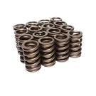 Comp Cams 981-16 Valve Springs Set W/ Damper 1.254" Od .880" Id Chevrolet Sbc. Fixed Price $97.43.