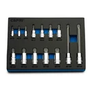 Capri Tools Master Xzn Bit Socket Set, M4 M18, 14-PIECE W/ The Mechanics Tray. Fixed Price $49.99.