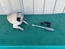 Snap-on 3/8 Torque Wrench QJR275C (30-200 In-lb) + Screwdrivers. Fixed Price $79.00.