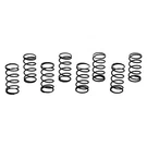Moroso Valve Checking Springs. Fixed Price $24.99.