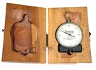 Vintage Geneva Depth Gauge, Chicago Dial Indicator Co. W/ Wooden Case. Fixed Price $19.99.
