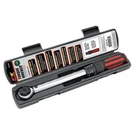 Jegs 1/4 Drive Torque Wrench 250 In./lbs. Fixed Price $84.99.